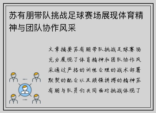苏有朋带队挑战足球赛场展现体育精神与团队协作风采
