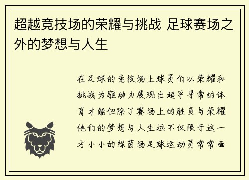超越竞技场的荣耀与挑战 足球赛场之外的梦想与人生