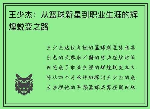 王少杰：从篮球新星到职业生涯的辉煌蜕变之路