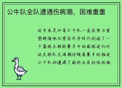 公牛队全队遭遇伤病潮，困难重重