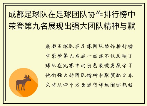 成都足球队在足球团队协作排行榜中荣登第九名展现出强大团队精神与默契配合