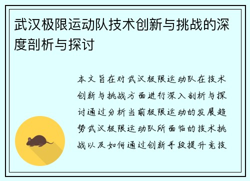 武汉极限运动队技术创新与挑战的深度剖析与探讨