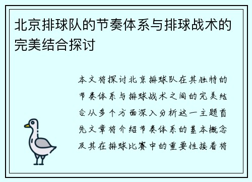 北京排球队的节奏体系与排球战术的完美结合探讨